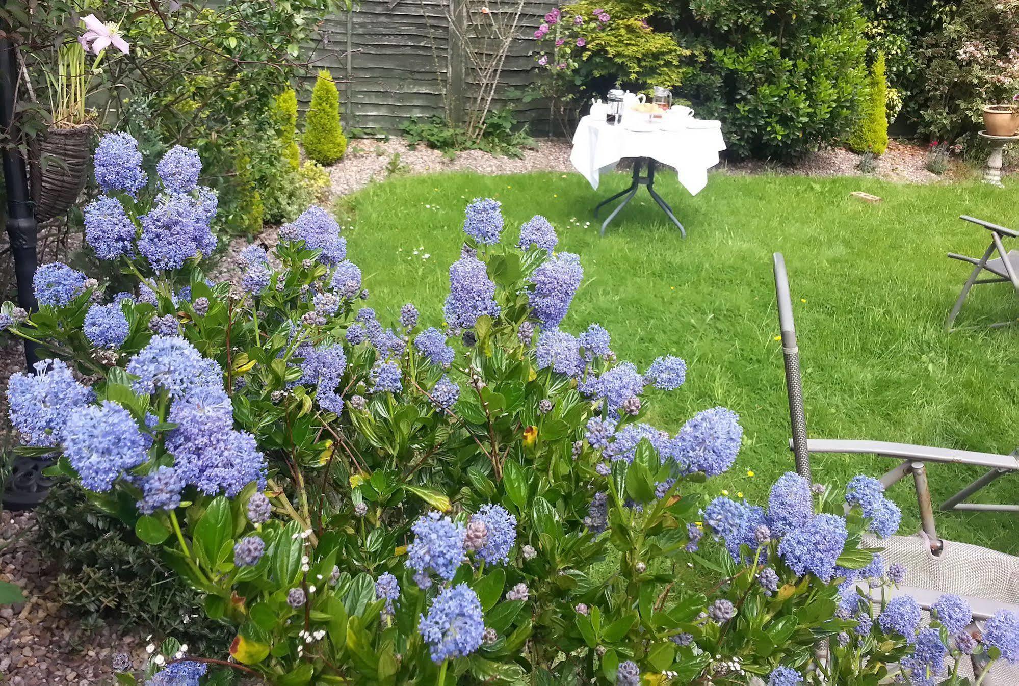 Arden Guest House B&B - Nec Birmingham - Birmingham Airport Bickenhill Exteriör bild